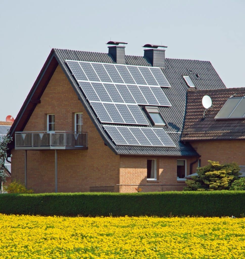 home with solar panels and yellow dandelion